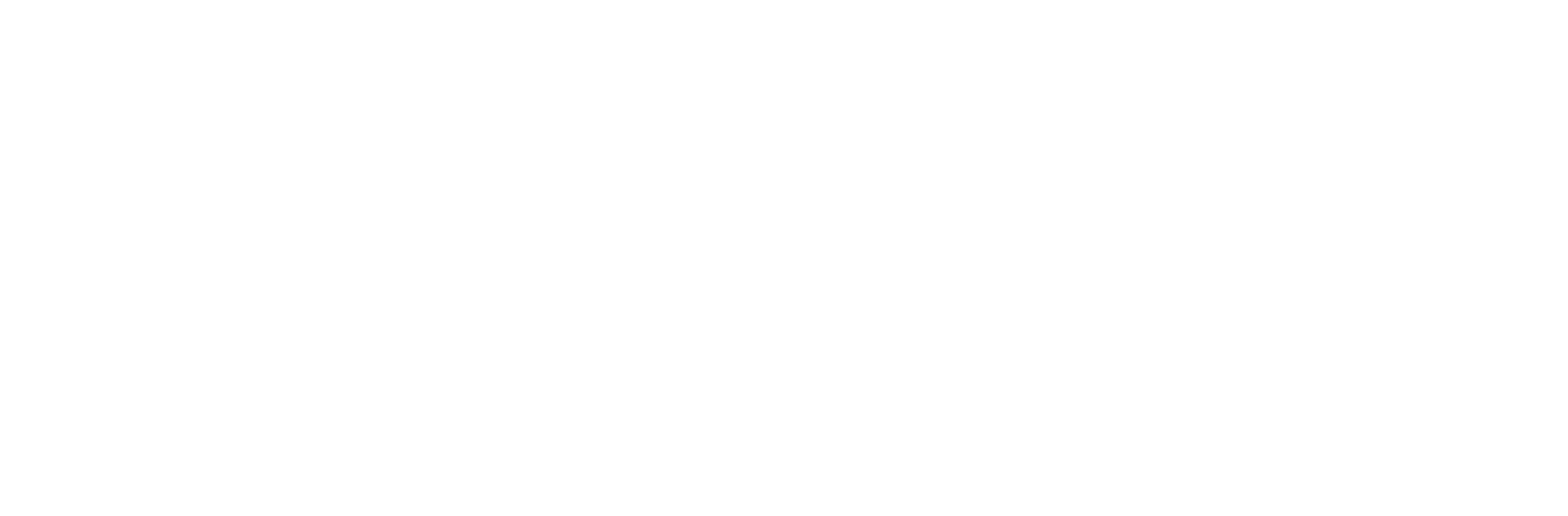 Ballistic Digital LLC